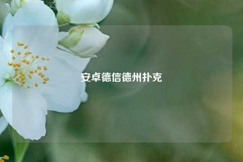 安卓德信德州扑克