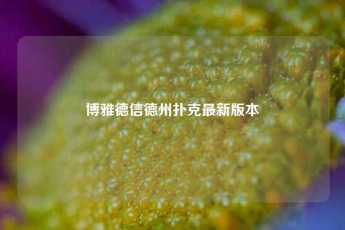 博雅德信德州扑克最新版本