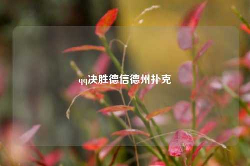 qq决胜德信德州扑克