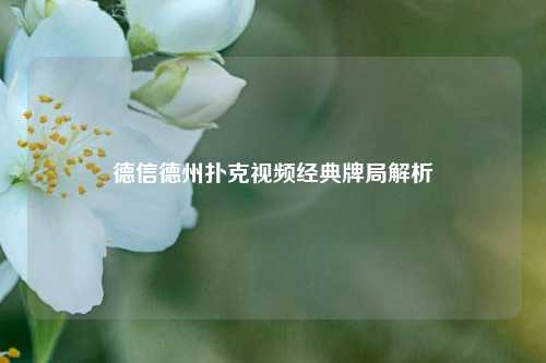 德信德州扑克视频经典牌局解析