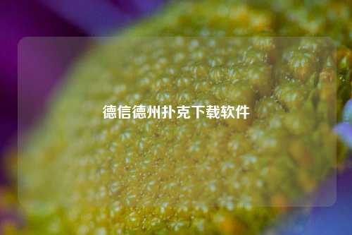 德信德州扑克下载软件