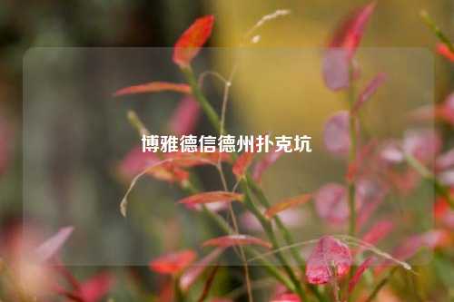 博雅德信德州扑克坑