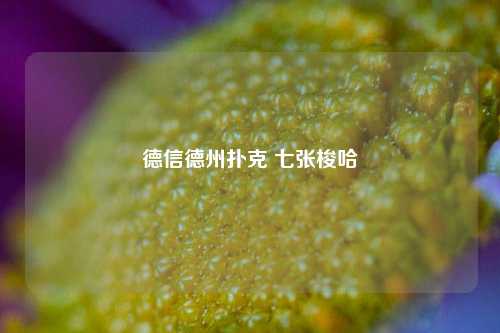 德信德州扑克 七张梭哈