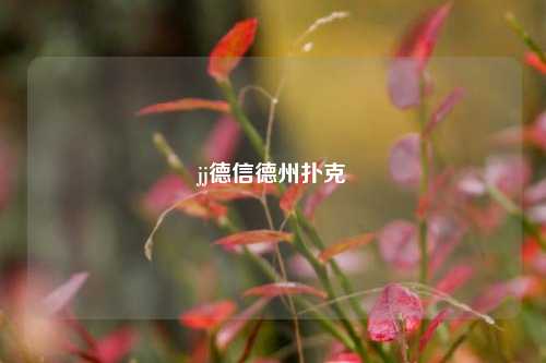 jj德信德州扑克