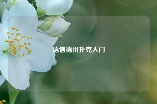 德信德州扑克入门