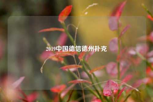 2019中国德信德州扑克