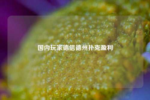 国内玩家德信德州扑克盈利